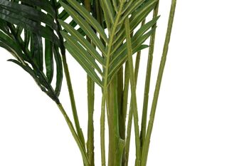 PLANTE PE 50X50X160 PALMIER ARECA VERT JA194211 4