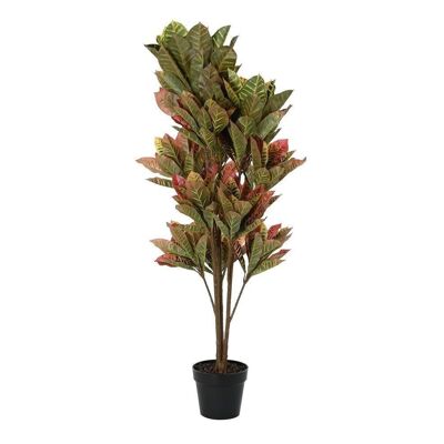 PLANTE PE 50X50X140 VERT CROTON JA194223