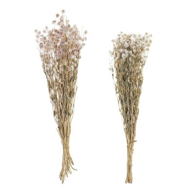 MAZZO DI FIORI SECCHI 16X3X60 2 ASSORTIMENTI. JA196536