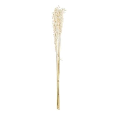 RAMO FLOR SECA 8X3X57 AVENA BEIGE JA196537