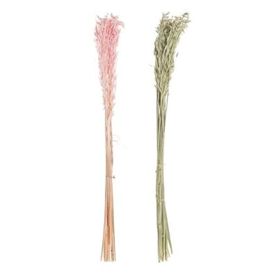 DRY FLOWER BRANCH 8X4X60 OATS 2 ASSORTMENTS. JA196539