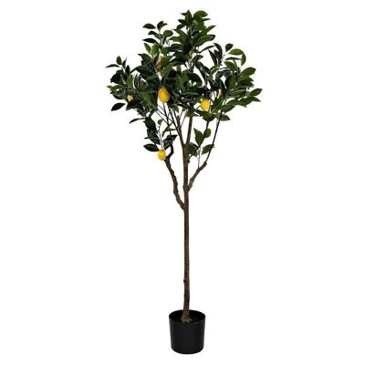 TREE POLYESTER PP 74X74X150 GREEN LEMON TREE JA199308