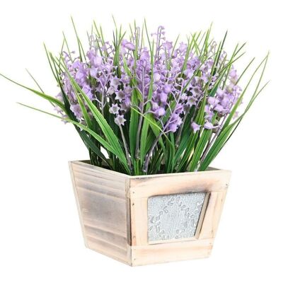 PLANT PE MDF 24X24X24 LILAC BELL JA199472