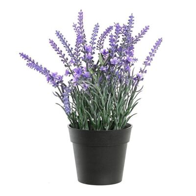 PLANT PE PP 15X15X27 LAVENDER LILAC JA199473