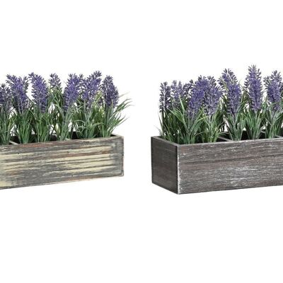 PLANT PE WOOD 32X14X19.5 LAVENDER 2 ASSORTED. JA199476