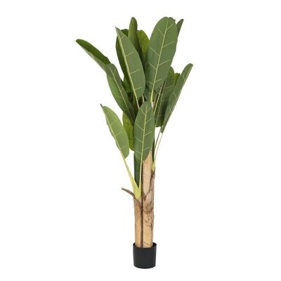 PLANT POLYESTER PP 90X90X200 BANANA PALM TREE JA200530