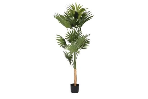 PLANTA POLIESTER PP 80X80X180 PALMERA VERDE JA200539