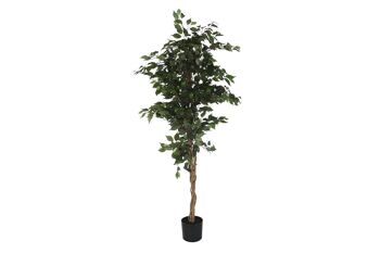 ARBRE POLYESTER PP 90X90X180 BANGAL JA200540 1