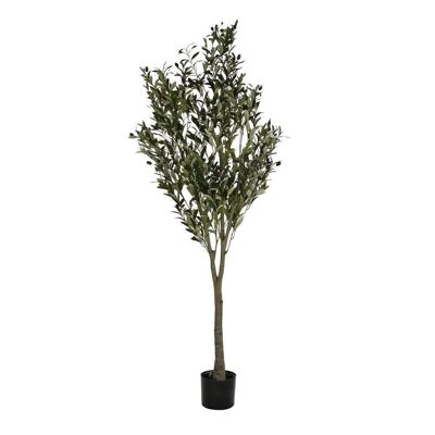 ALBERO POLIESTERE PP 80X80X180 VERDE SCURO OLIVO JA200551