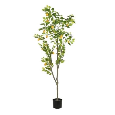 ALBERO POLIESTERE PP 90X90X180 VERDE LEMON TREE JA200553