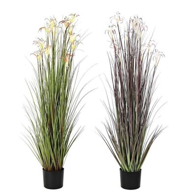 METAL PVC PLANT 45X45X140 SPIDER LILY 2 ASSORTED. JA201445