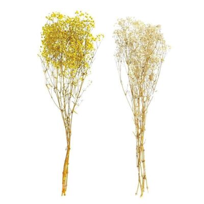 BRANCHE DE FLEURS SÈCHES 20X20X70 60GR 2 ASSORTIS. JA201813