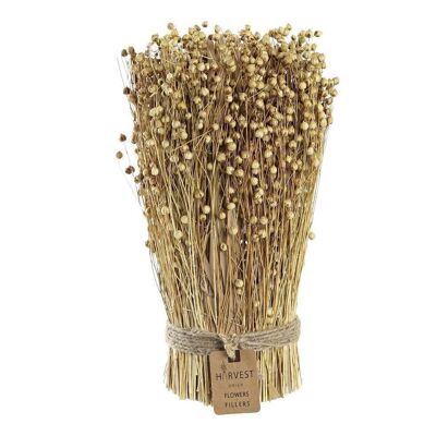DRIED FLOWER BOUQUET 12X12X31 TISHI NATURAL LINSEED JA202062