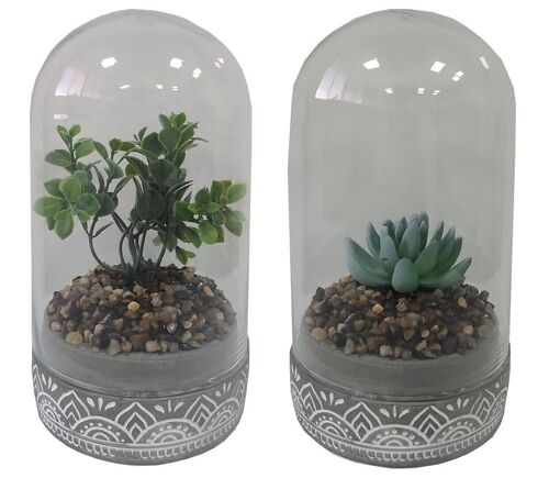 PLANTA PE CRISTAL 12X12X18 2 SURT. JA202585