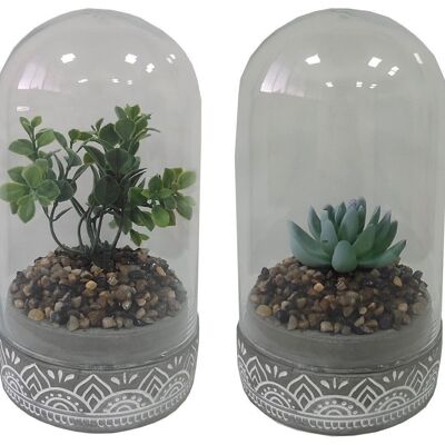 PLANTE PE VERRE 12X12X18 2 SURT. JA202585