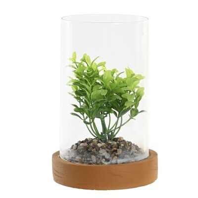 PLANTE PE VERRE 12X12X18 2 SURT. JA202587