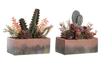 PLANTE PP EVA 19X9X22 CACTUS 2 ASSORTIS. JA204480 1