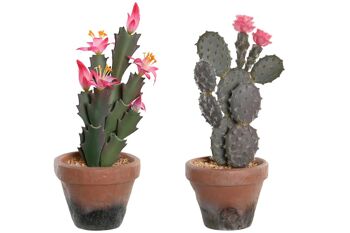 PLANTE PP EVA 15X15X29 CACTUS 2 ASSORTIS. JA204481 1