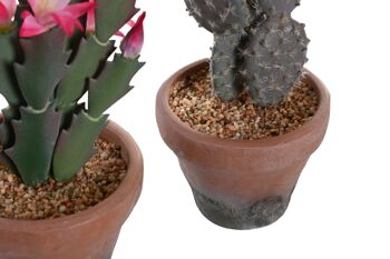 PLANTE PP EVA 15X15X29 CACTUS 2 ASSORTIS. JA204481 2