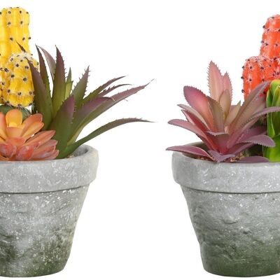 PLANTA PP EVA 12X11X19 CACTUS 2 SURT. JA204482