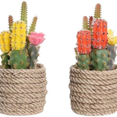 PLANT PE EVA 9,5X9X18 CACTUS 2 ASSORTED. JA204483