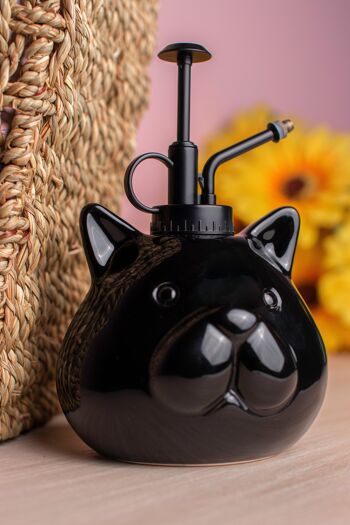 Pulverizador para plantas “gato” negro – Fisura
