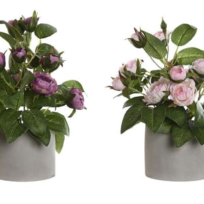 PLANTE POLYESTER PE 16X16X25 ROSES 2 ASSORTIES. JA205830