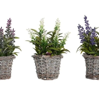 PLANT PE WOOD 7X7X20 LAVENDER 3 SURT. JA205837