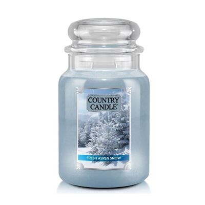 Fresh Aspen Snow Large scented candle