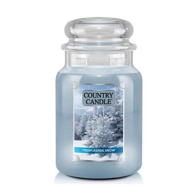 Fresh Aspen Snow Vela perfumada grande