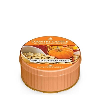 Spiced Pumpkin Seeds Daylight scented candle