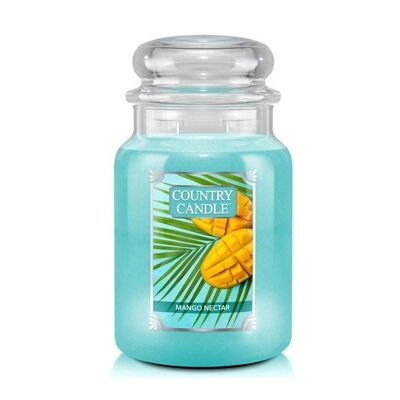 Scented candle Mango Nectar Large