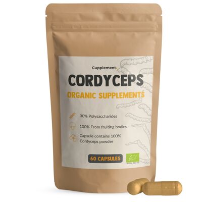 Cupplement - Cordyceps Capsules 60 Pieces - Organic - 500 MG Per Capsule - No Powder - Supplement - Superfood - Mushroom - Mushroom - Militaris, Sinensis - Foodspores