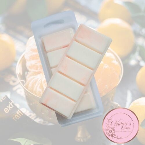Marshmallow & Sweet Clementine Wax Melt Snap Bar