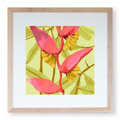 Stampa artistica 'Heliconia Series No.2' 20 x 20 cm