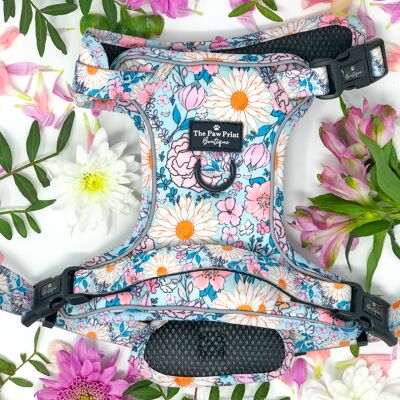 The Fabulous in Floral 'Big Dawgs' Harness