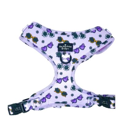 The Sassy Sunnies Harness