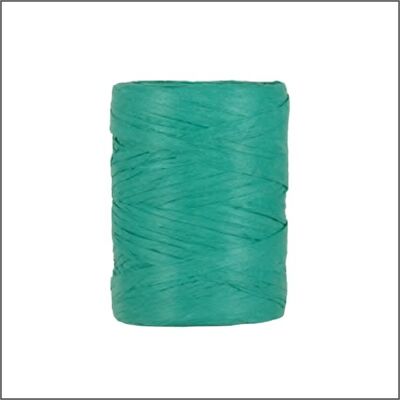 PAPIERRAFFIA MM5-8X100MT MEER