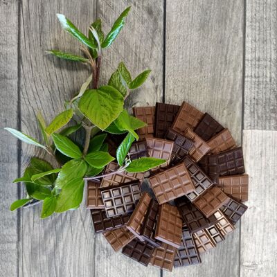 MINI BARRAS DE CHOCOLATE CON LECHE CRUJIENTE 38% CHOCOLATE OSCURO 64% 120g