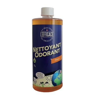 Nettoyant sols mangue