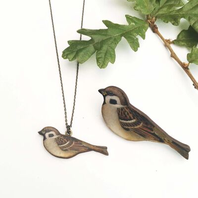 House Sparrow necklace or brooch - Necklace bronze chain