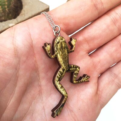 Frog necklace or frog brooch - Necklace bronze chain