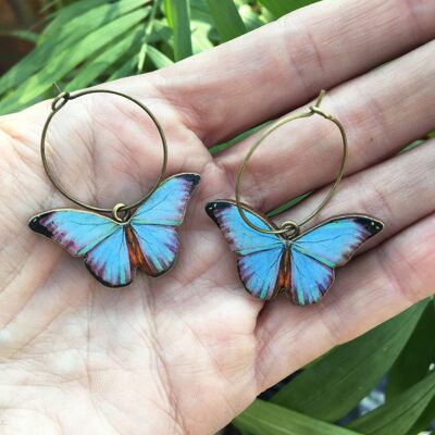 Blue Morpho butterfly earrings - Sterling silver