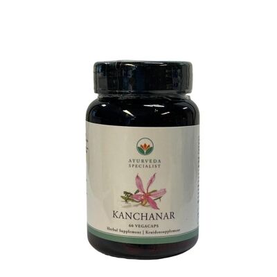 Kanchanar - 60 capsules végétales