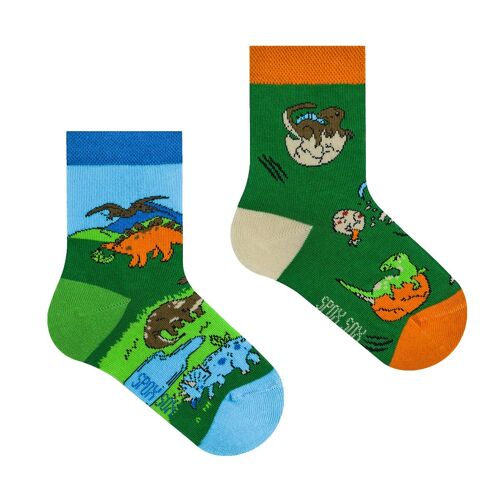 Kids socks - Dinosaures