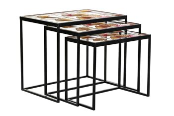 TABLE D'APPOINT SET 3 METAL VERRE 60X40X50 FEUILLES MB199442 4