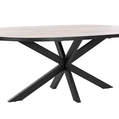 TABLE DE REPAS MÉTAL MANGUE 200X100X76 NATUREL MB205959