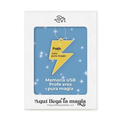 USB 16Gb - LEHRER DU BIST PURE MAGIC