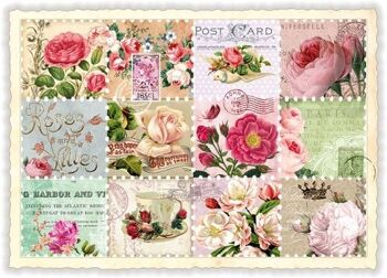 Roses du timbre (SKU: PK978)