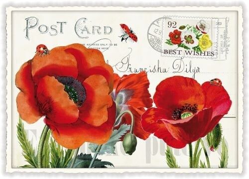 Coquelicot (SKU: PK667)